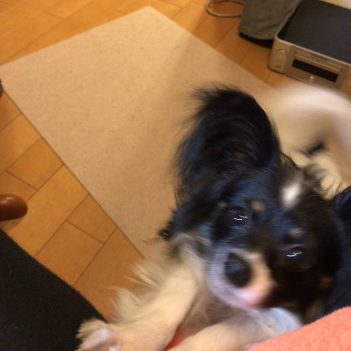 C027fadc e72a 4ccc a061 90bc9d7ff89b