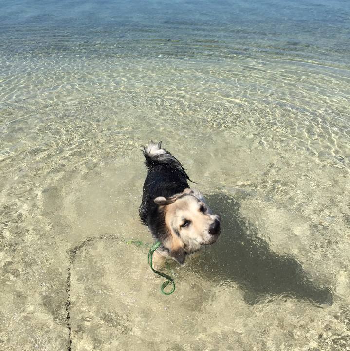 C0282982 6873 4405 87f3 4cba111a27ef