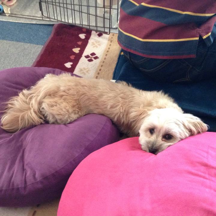 C0283113 c594 45fb 8680 01eaad9b473b