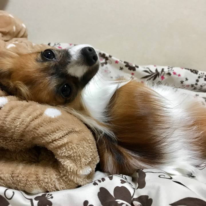 C029529b e97d 447a a45c c0e1414b9af8