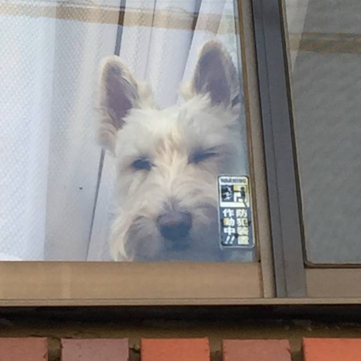 C0295fb1 d83e 45b4 ae05 73649c551deb