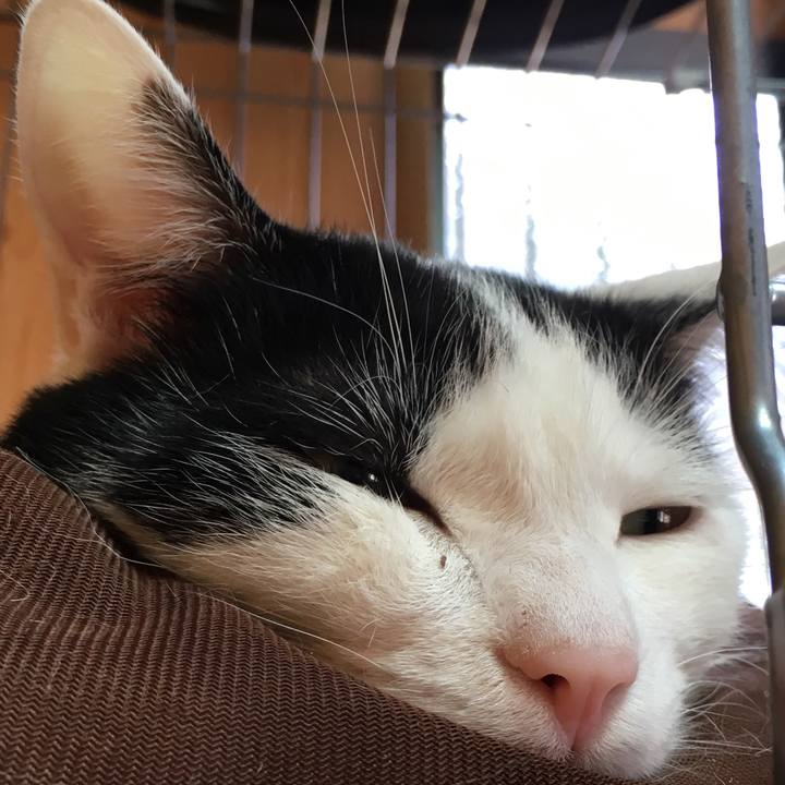 C0298d6f cfa1 4a76 929b ad787d08152c