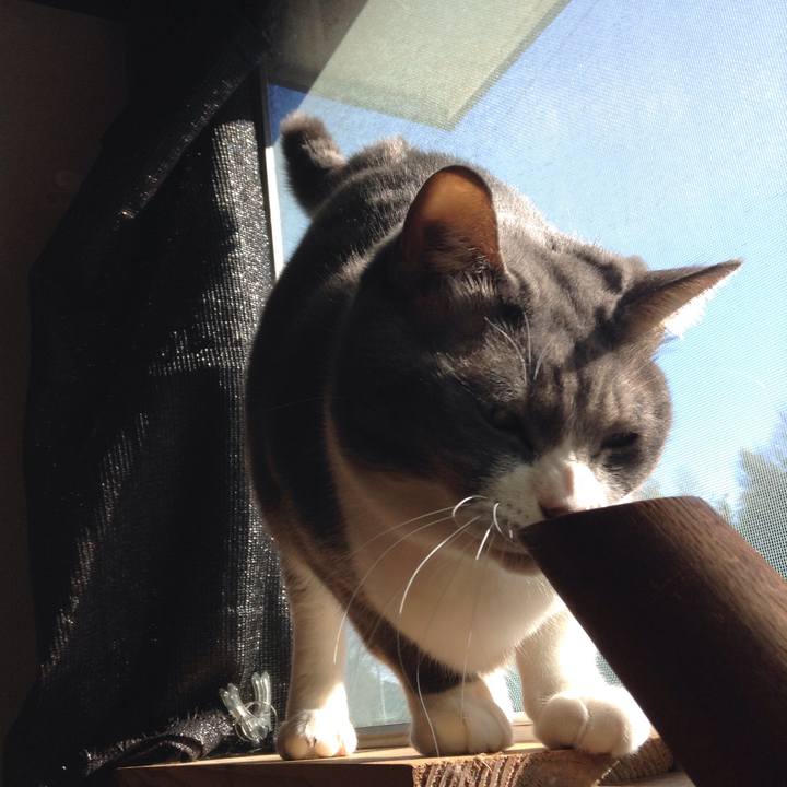 C0299109 92b2 4137 9ccf b5b50d0a724d