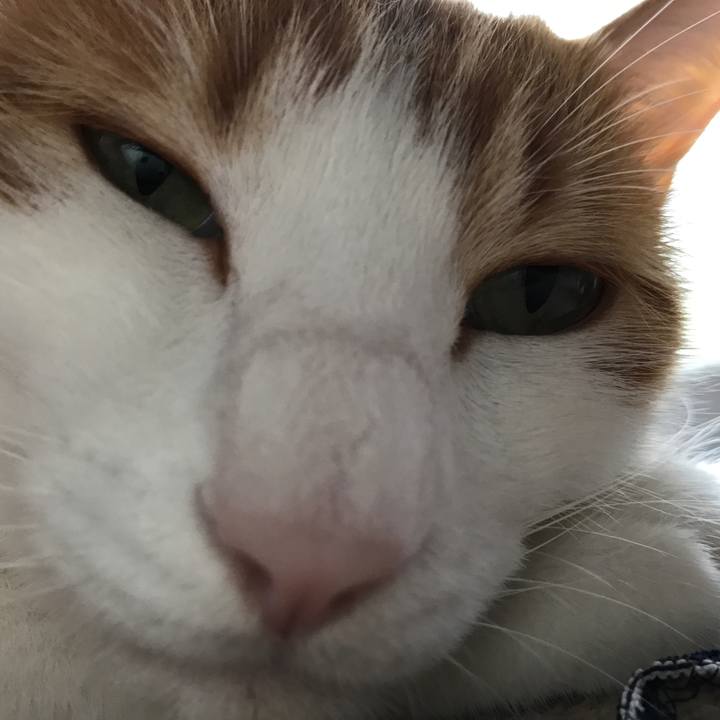 C0299f4b 3dfe 42cf aeeb a90d9917049b