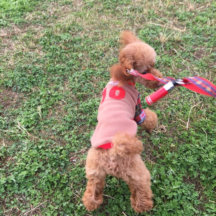 C02a375e f745 4782 bf12 650d7569d0e9