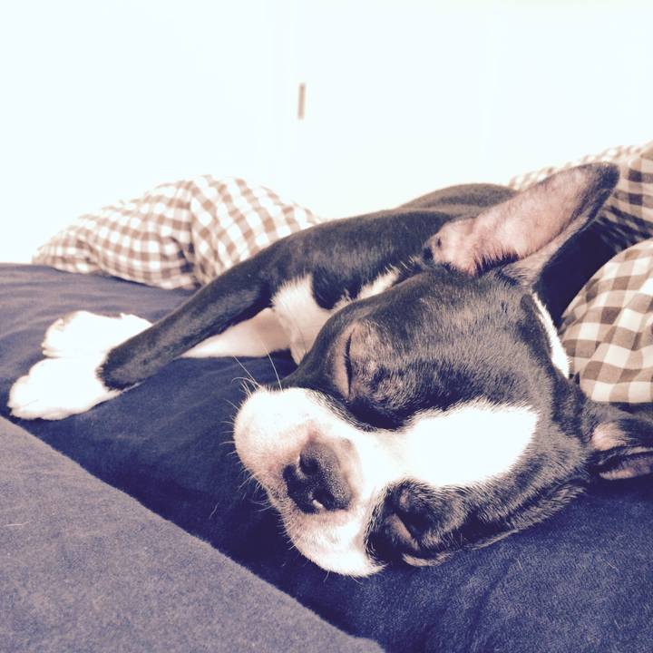 C02a5a43 6b39 43a3 9087 5c44cdb339d1