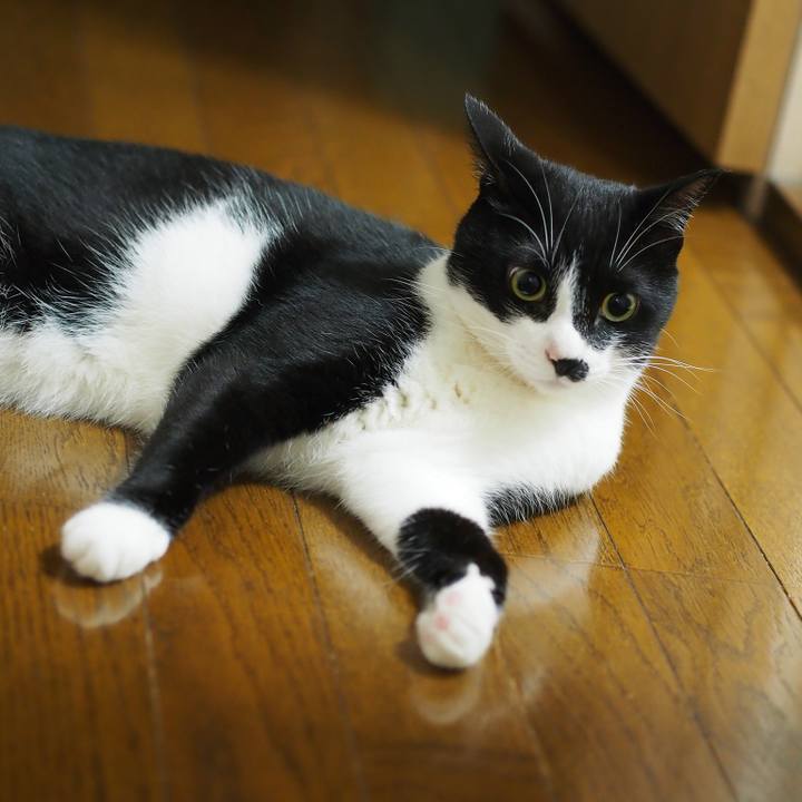 C02b44a0 241f 4cb5 96a3 80ce98e9493c