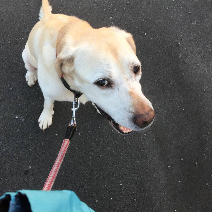 C02b4dee 6424 4e3a bf9a 716bbfe4fd3a