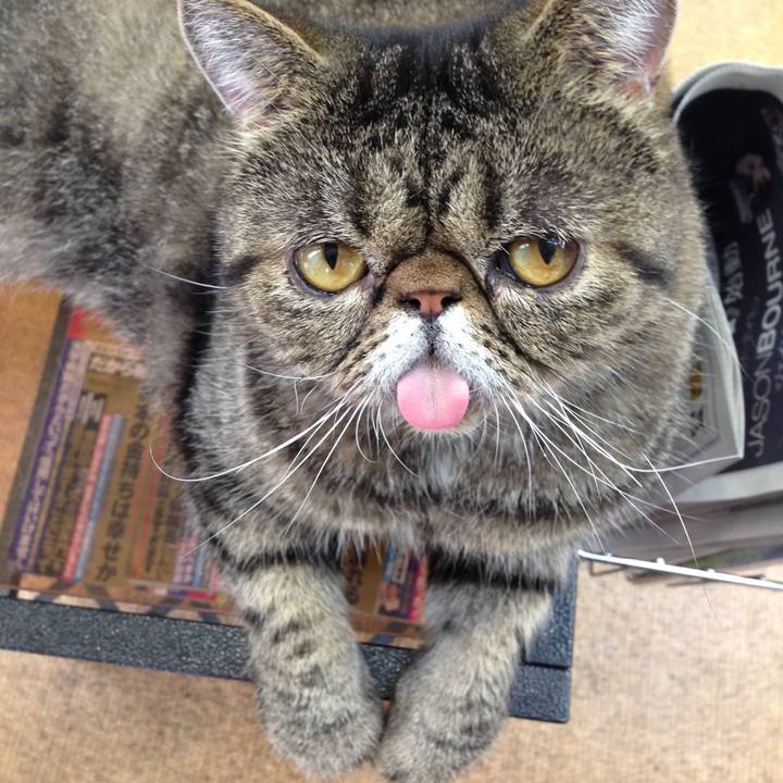 C02b5d17 a359 4181 aa95 880b0e6e857a