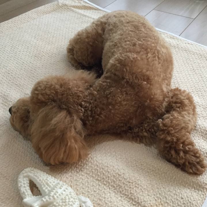 C02bbb42 2e12 4f19 be46 012cbbe20620