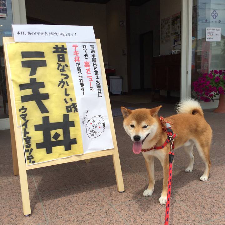 C02bd786 f7a1 4f4e bb46 08685f46535f