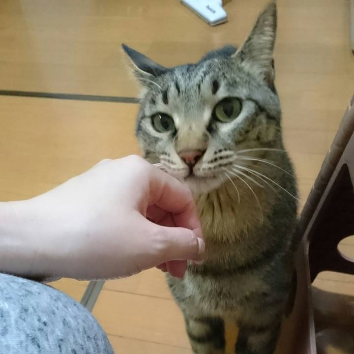 C02bdc19 19c7 4f67 a091 9ce4b2188d33