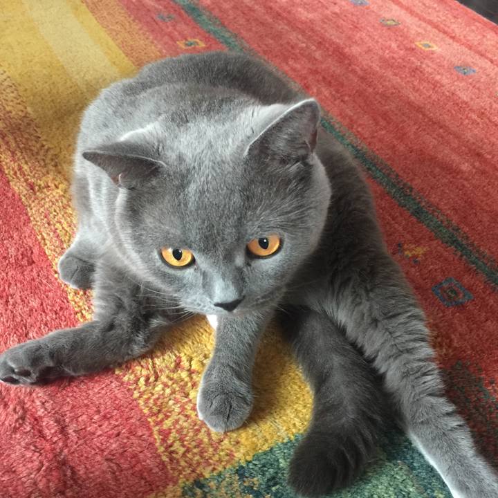 C02c3428 3a32 46cb 9918 dfea35cfcfc7