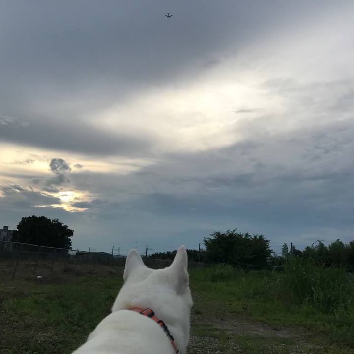 C02c7dc8 2fa4 4195 8ad3 da6539461510