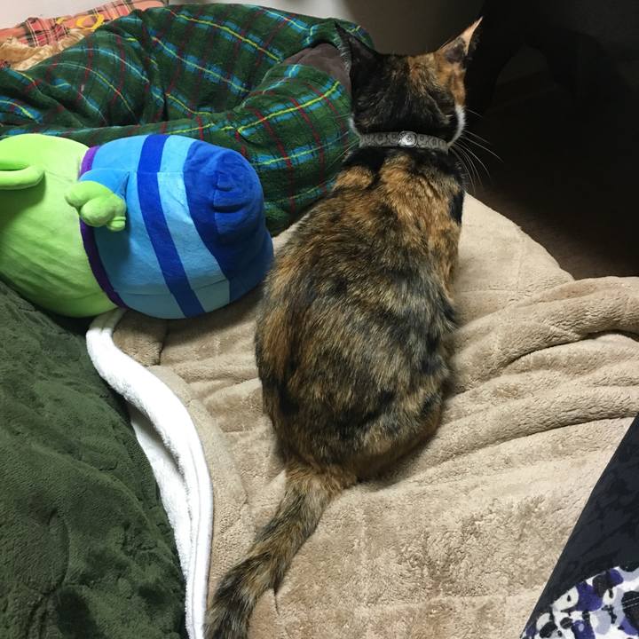 C02d1ee9 dd3e 48fa 9973 be5a46118ea8