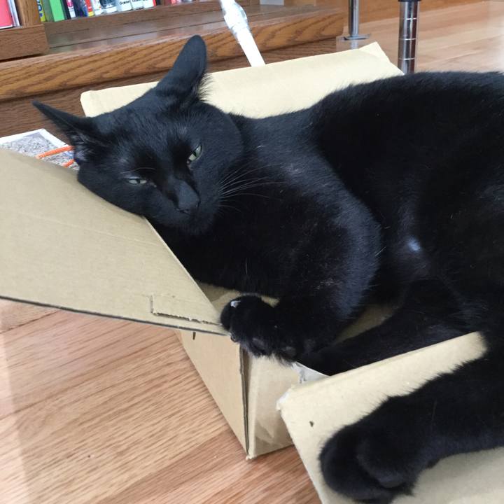 C02d6383 7358 458e 9267 a3a378c8bc4b