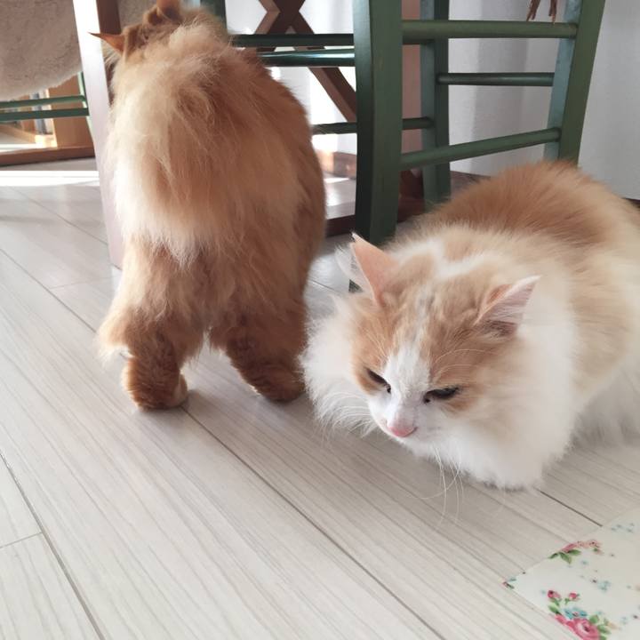 C02e1c87 e0bb 4764 9077 a7c0ccfea941