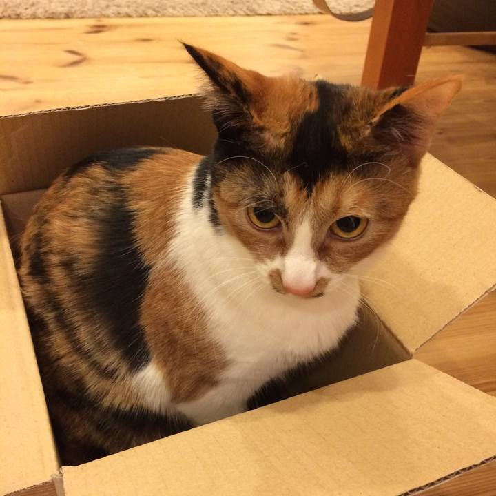 C02e5ace 4638 4f19 baa0 825245f169f3