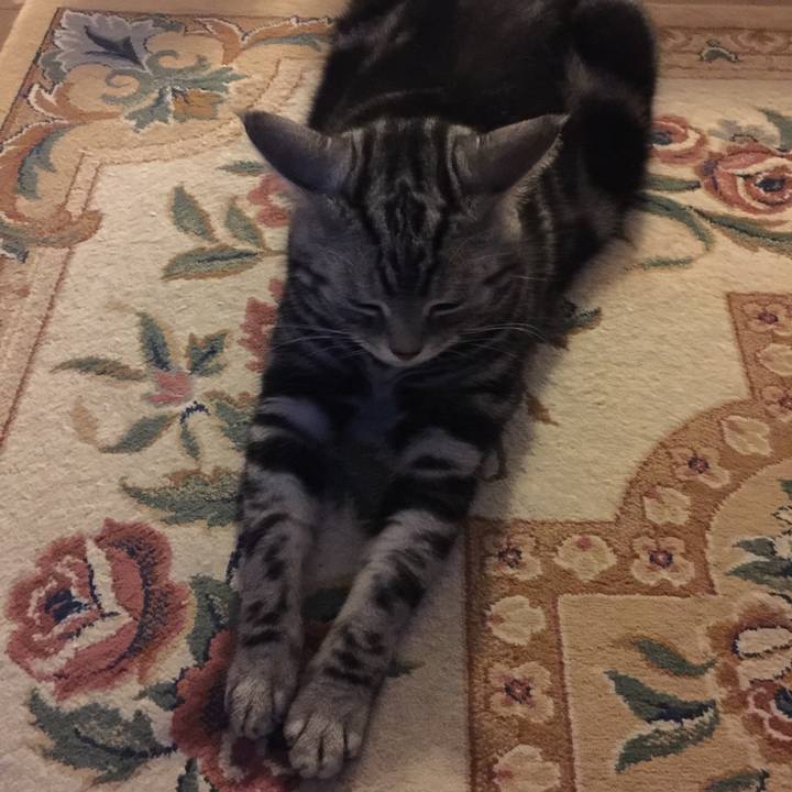 C02e7b2b 39e1 42ea b070 3af334688b64