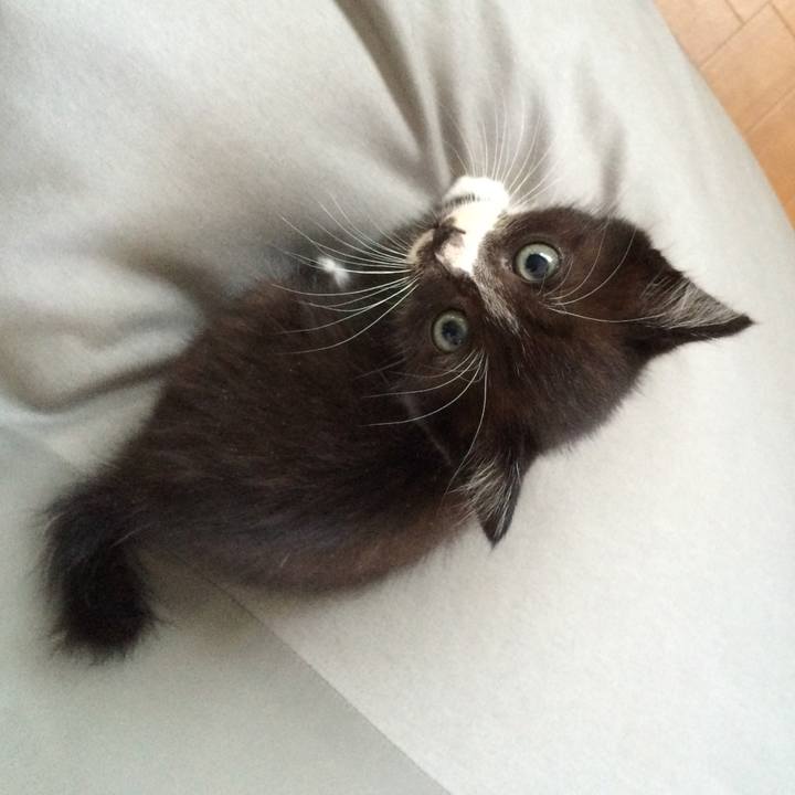 C02e9b16 4ddc 4268 ab11 92a79f743022