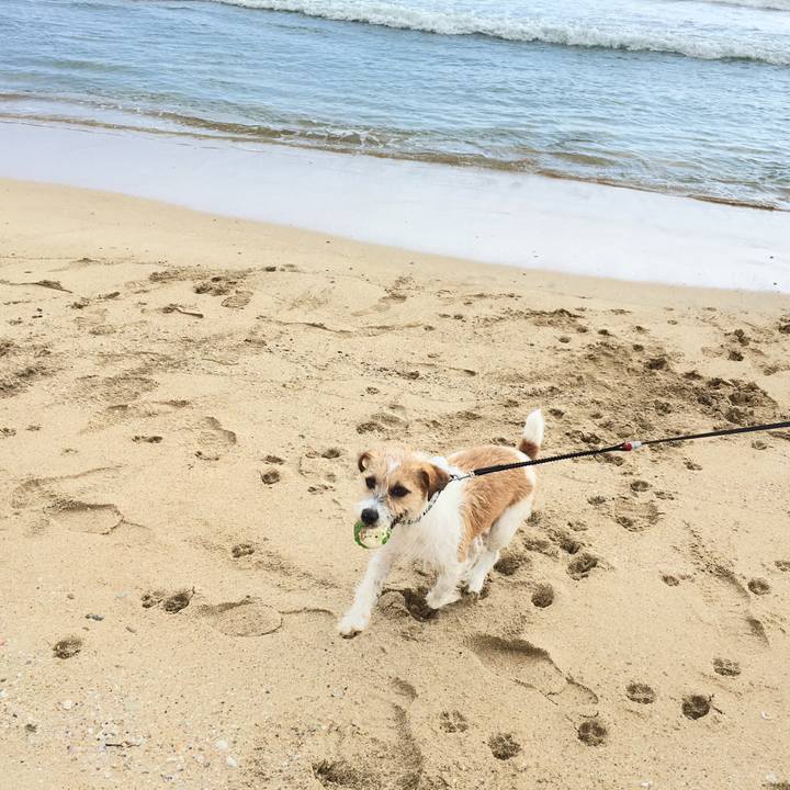 C02eaaee 778d 4255 88b9 1c65cba08862