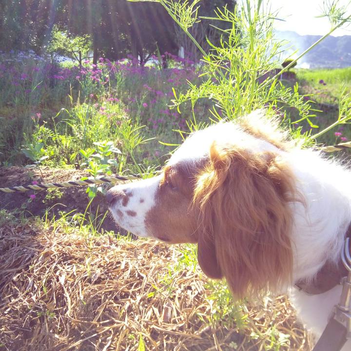 C02fd25d 650a 4405 b8e1 771432e5249a