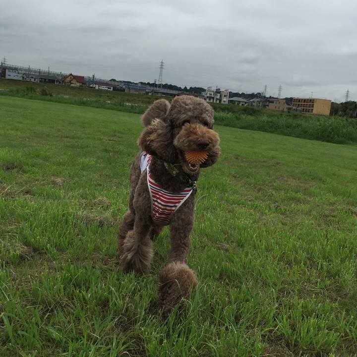 C02fd8fb f2bf 4328 9466 8f69a8e7a319