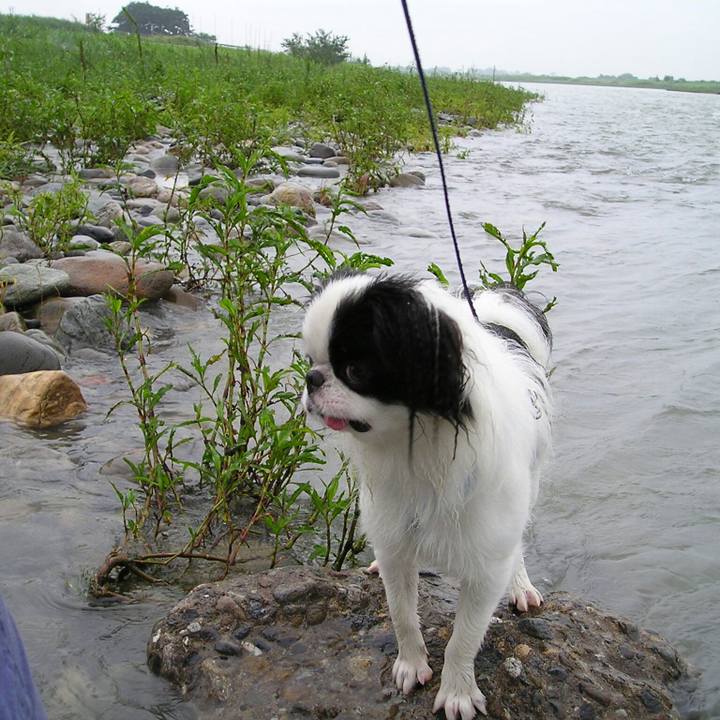 C030c50d 1a11 4212 a30f f35d58fe9aa8