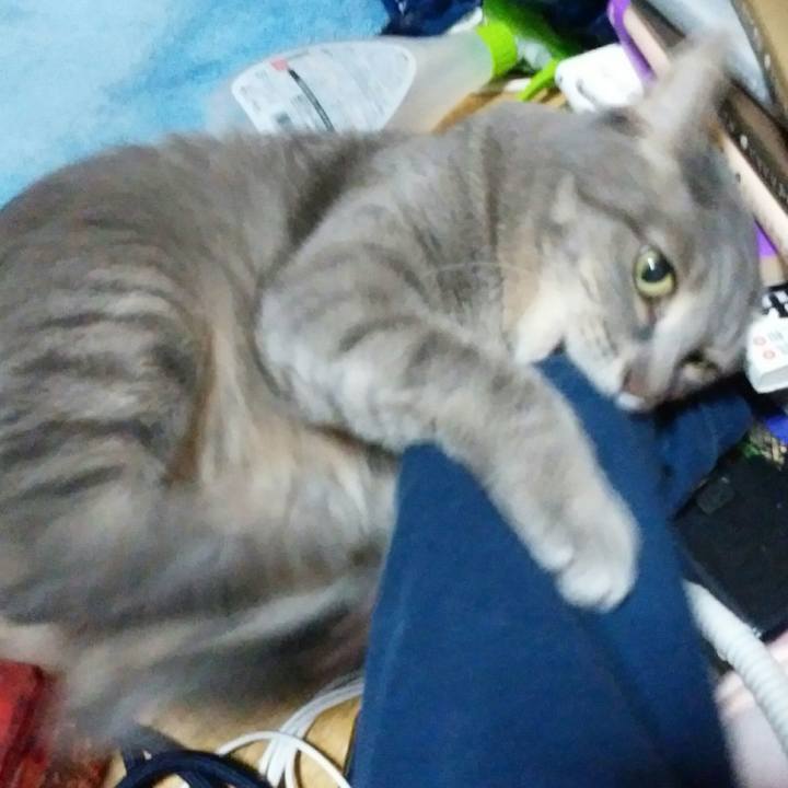 C030da35 2bd6 42bf 9189 62e9284e741a