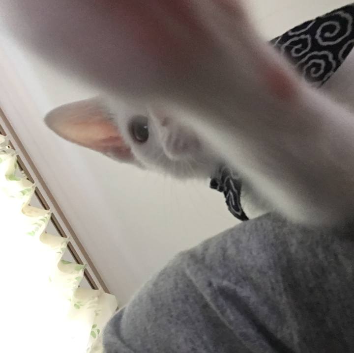 C030e9b4 f966 41a1 b388 f4c0e36f6996