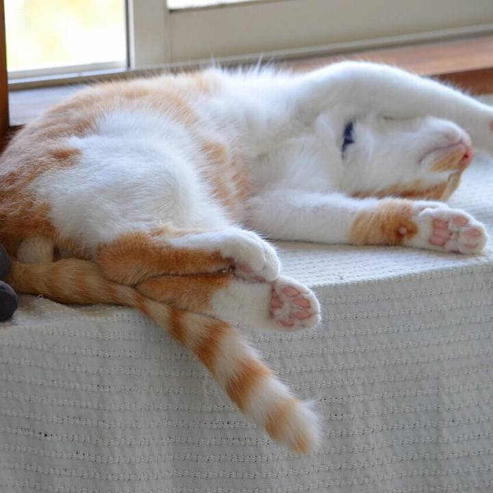 C0311462 e289 494b bfa9 992e52555899