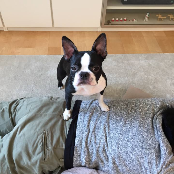 C0318d8f 7ece 496a 9d73 8f0d974fa257