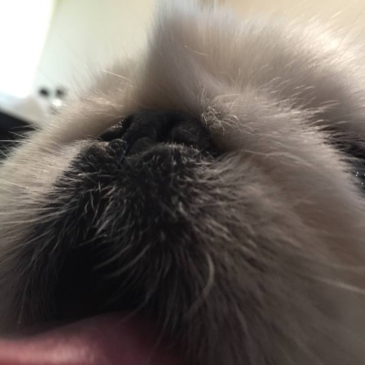 C031a50e 7db9 471e 8980 b9b5b24797d1