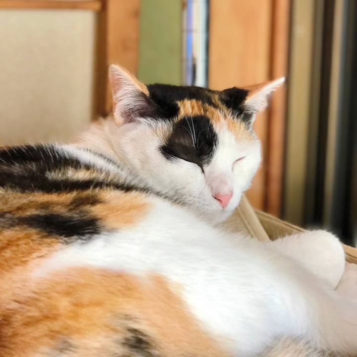 C0325550 b876 4904 b90e 09b42d549ad5