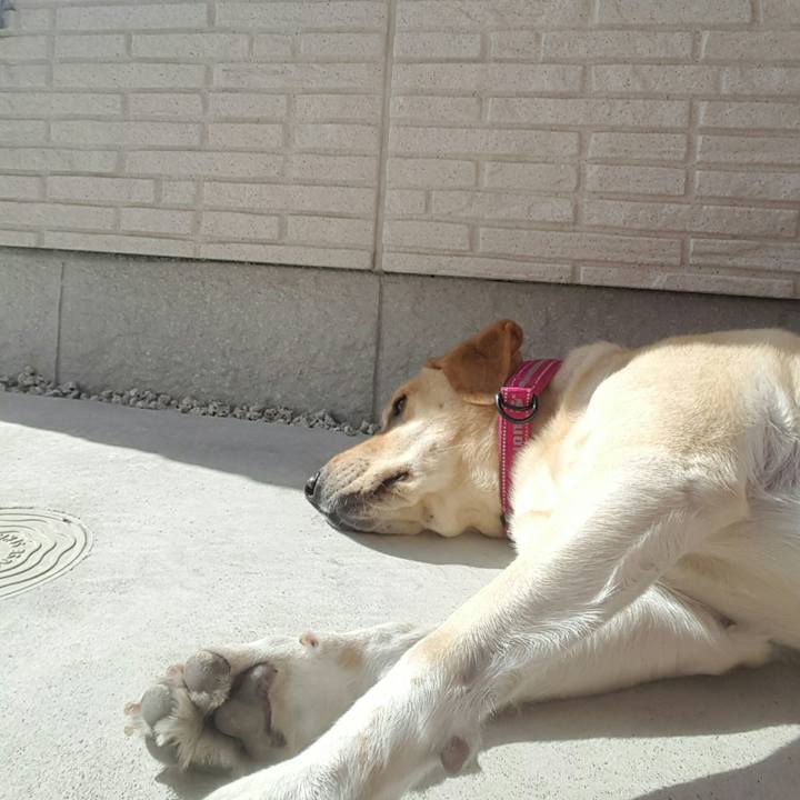 C0328e6e 946a 4716 b47d 90df2a5e0080