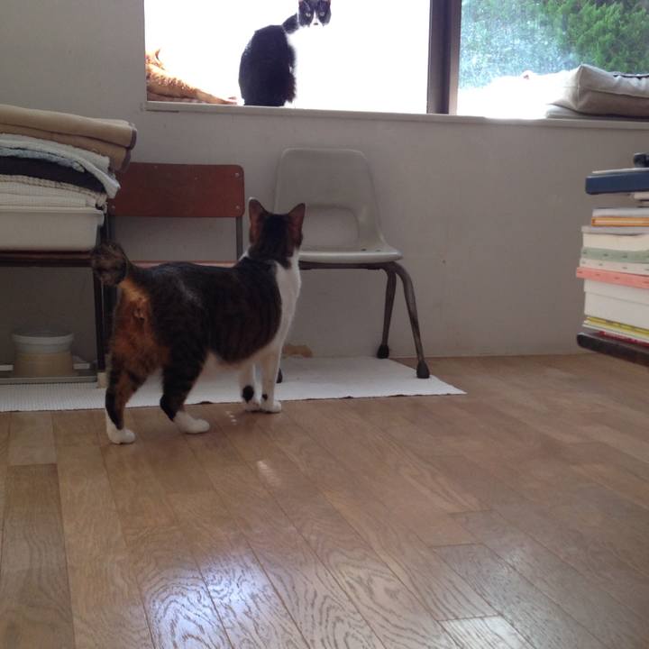 C032e2bf c54f 4046 ba79 6058e6ee1471