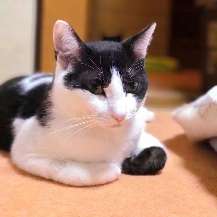 C032f2f1 83af 46b4 8a5a e33cb79fda1a