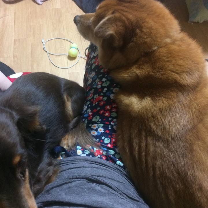 C032fe54 7960 4fe5 b697 2605ed0250c8