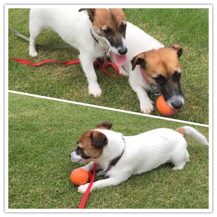 C03379c6 3afe 4cfa 9912 fe1d37c03cce