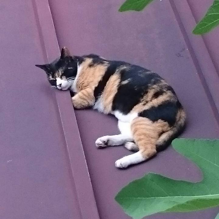 C035b2c4 b745 4efe 94c6 7bd21302beaf