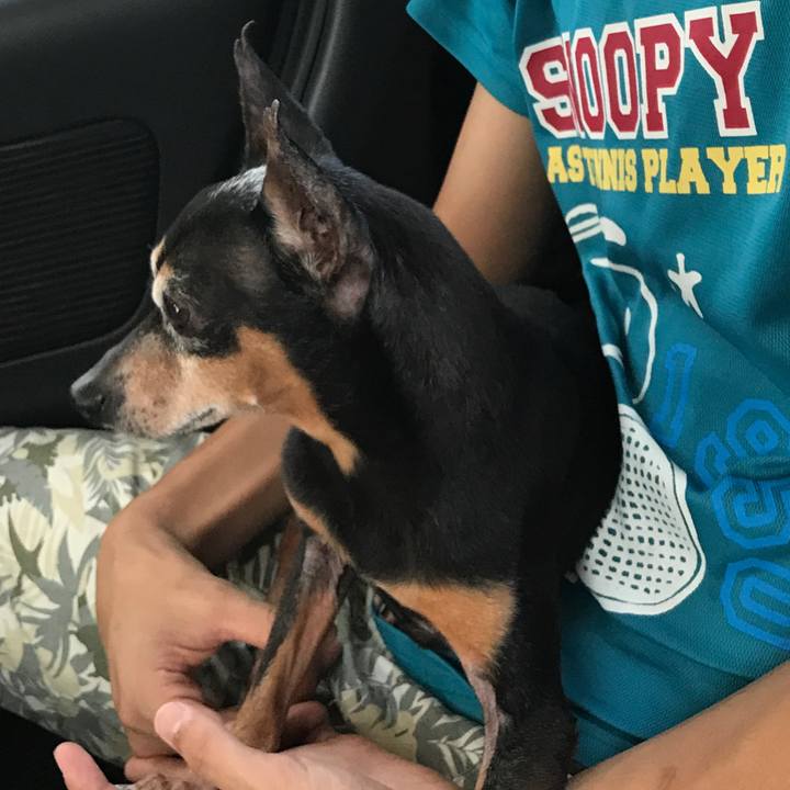 C035bc20 a936 4117 b452 766bce50ed57