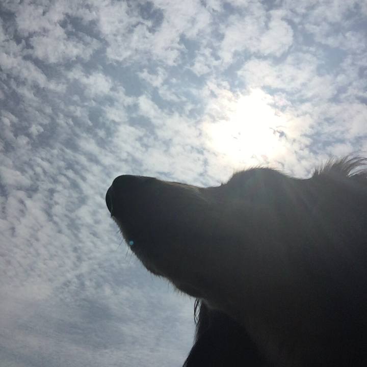 C0366a60 0b65 4aad be4d b0964efefcb9