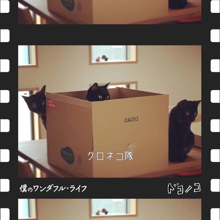 C0369f34 b1eb 4577 a5d0 88c246a2f83f