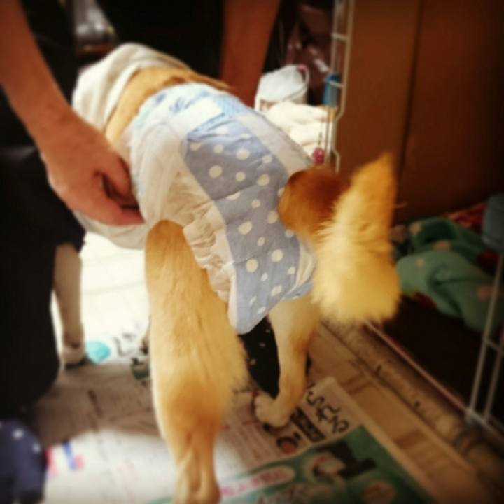 C037909a c0ba 47f6 8e7d 3985bd8d1cbb