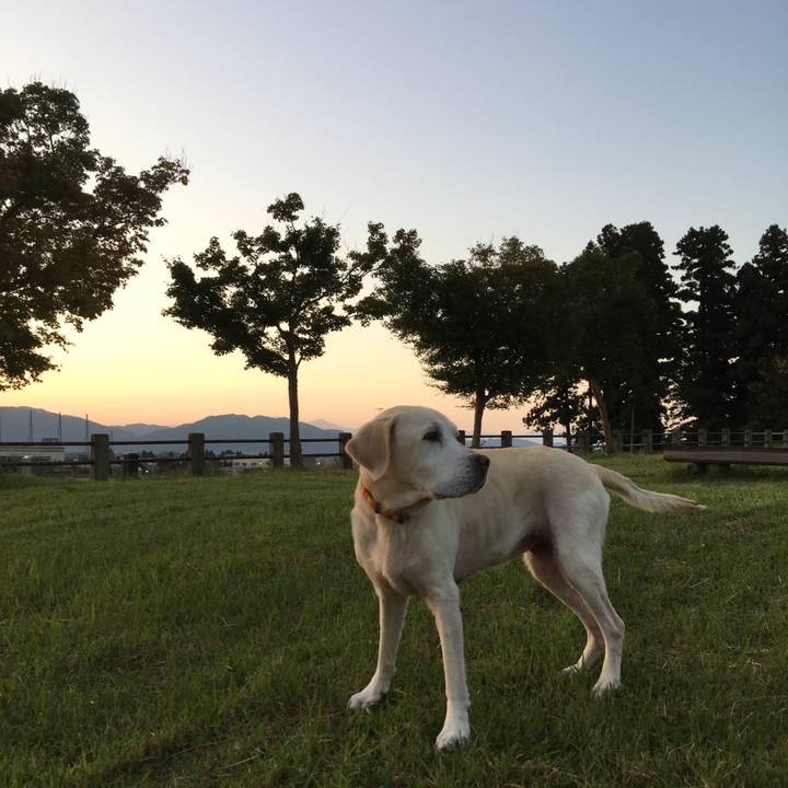 C037c5f1 add0 4f03 9028 4b3142521294