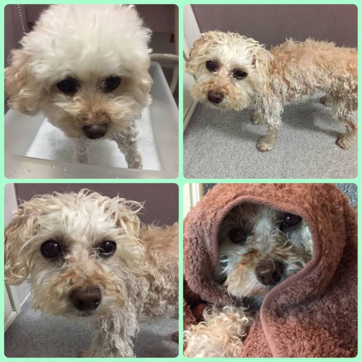 C038c7a6 3e12 41e3 8f22 9b367afbcbfc