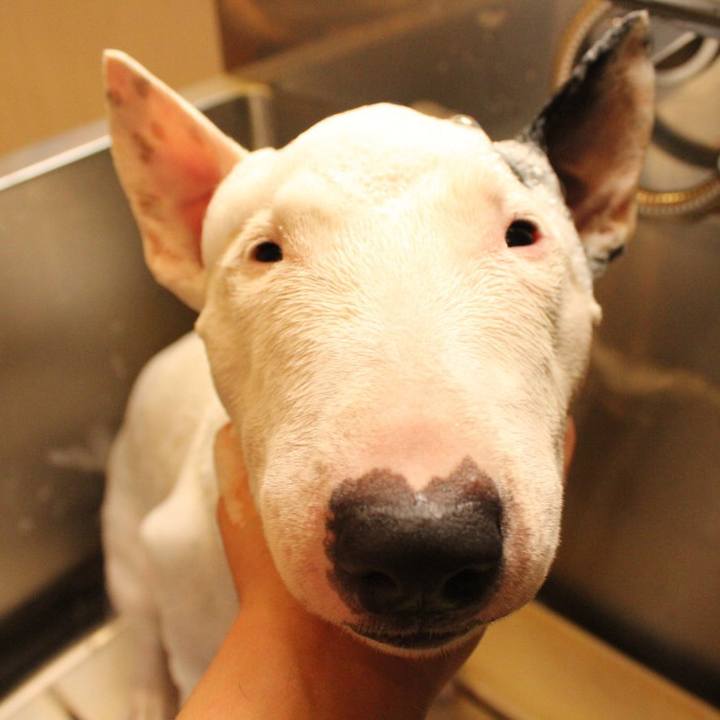 C0392d64 9bf2 456e bb03 59369a94c440