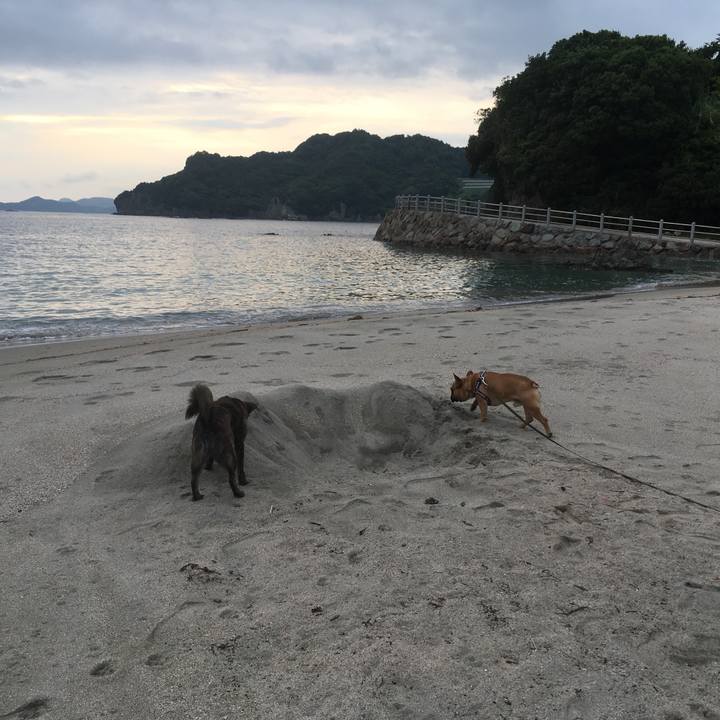 C0395fdb 1bc1 43ec 8fc0 fc146f55a428