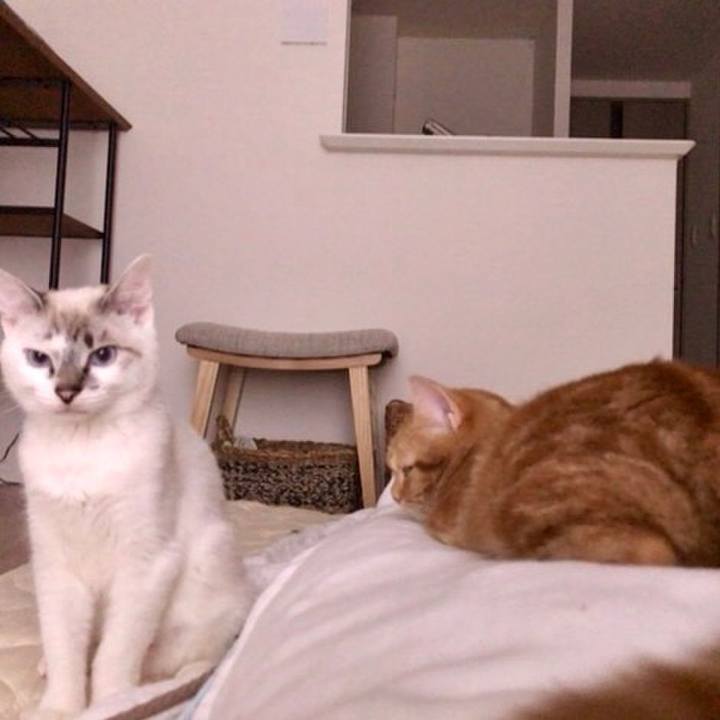 C039a8e3 d7a8 4b97 8140 448c54eeb375