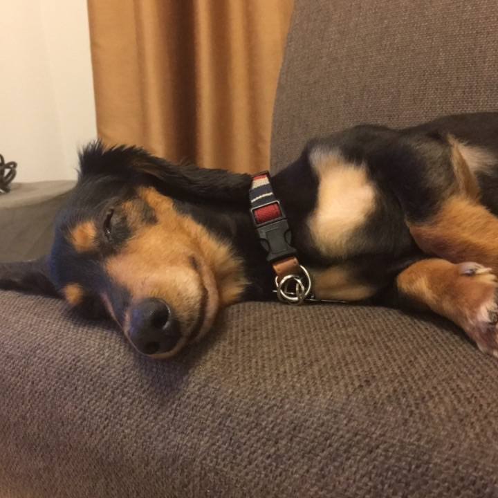 C039d0be 80a3 4157 89c2 10248302448e